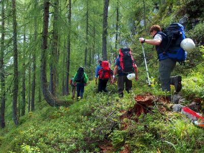 006-Im Bergwald beim Aufstieg zum Sentiero Costanzi